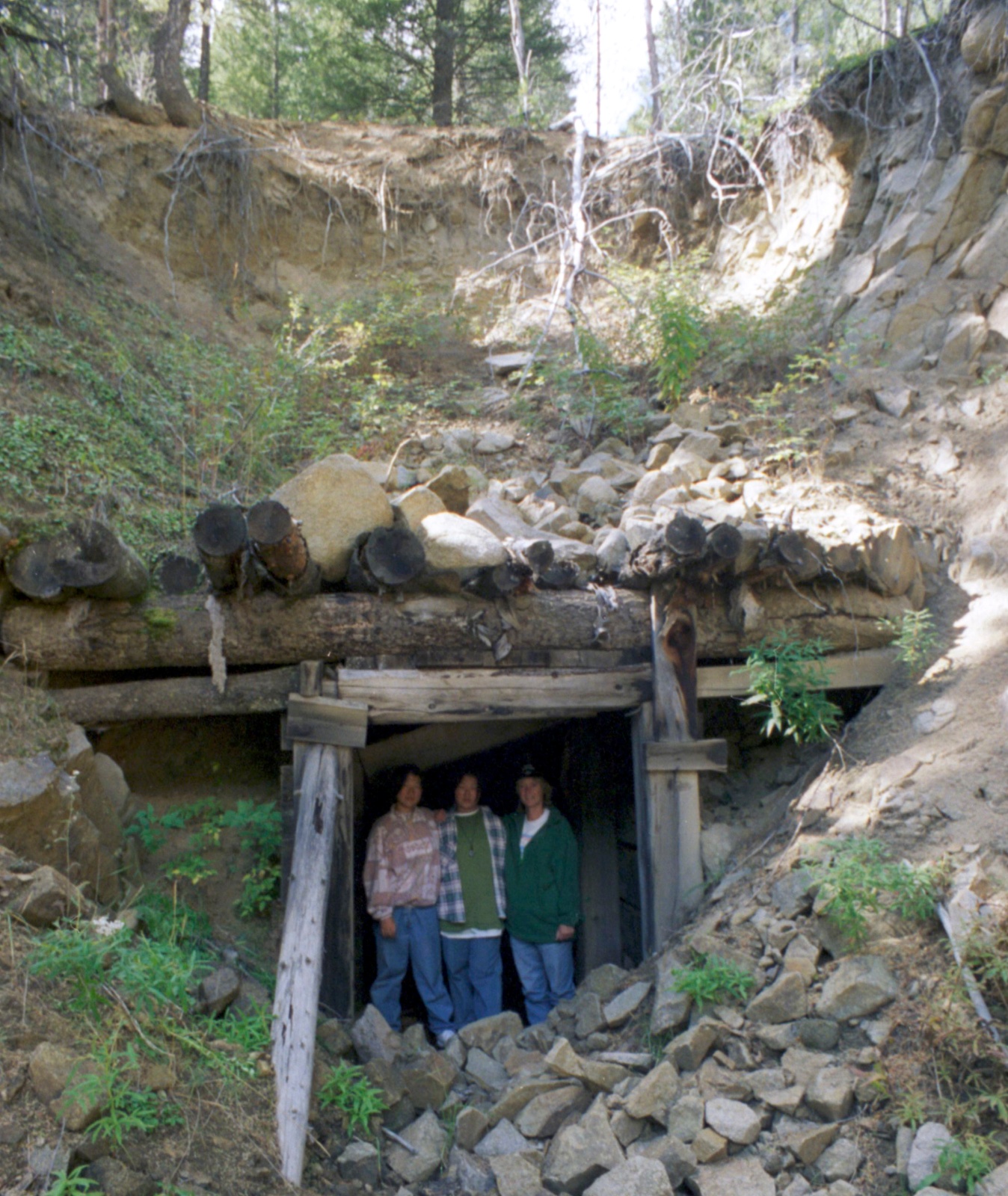 Guldmine
